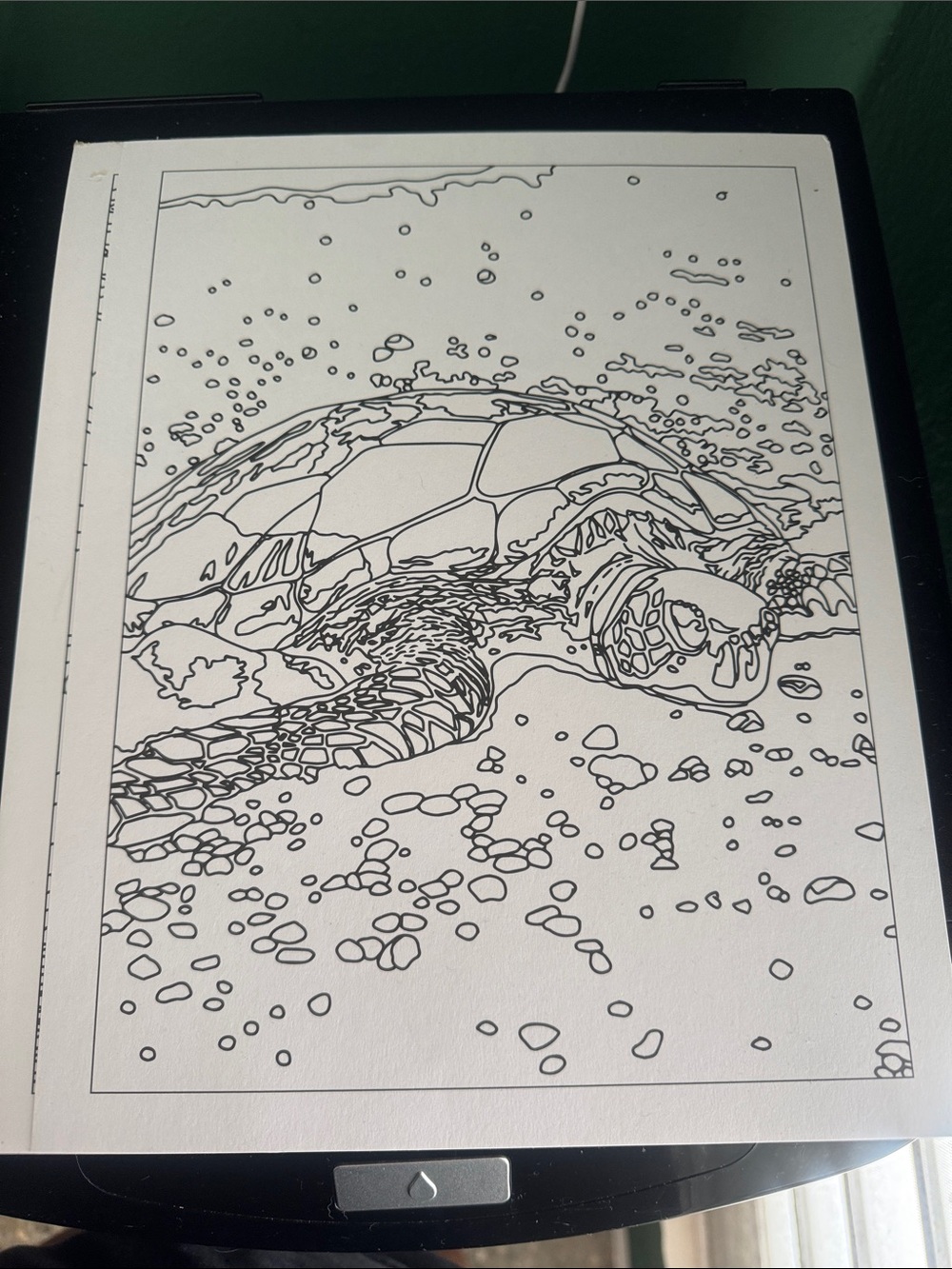 Sea Turtle Line Art Print - Black and White Home Art